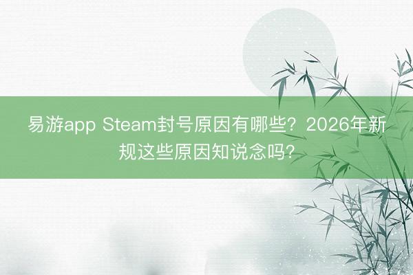 易游app Steam封号原因有哪些？2026年新规这些原因知说念吗？