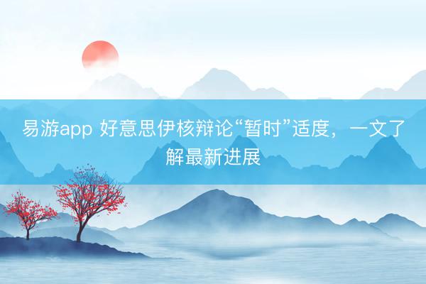 易游app 好意思伊核辩论“暂时”适度，一文了解最新进展