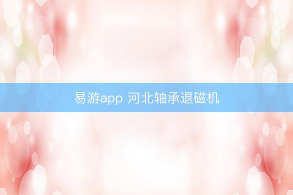 易游app 河北轴承退磁机