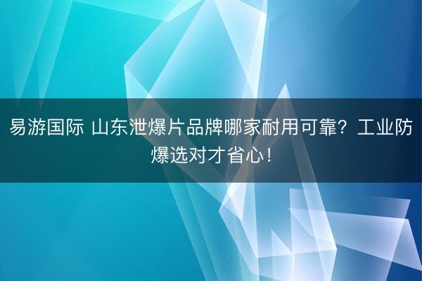 易游国际 山东泄爆片品牌哪家耐用可靠？工业防爆选对才省心！