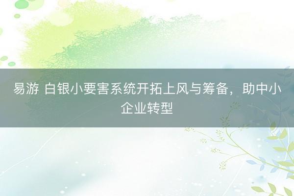 易游 白银小要害系统开拓上风与筹备，助中小企业转型
