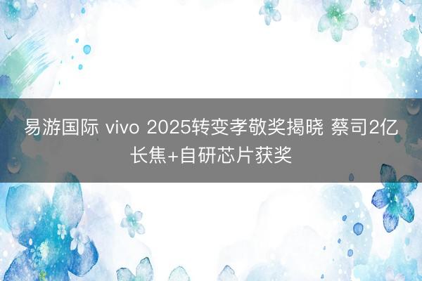 易游国际 vivo 2025转变孝敬奖揭晓 蔡司2亿长焦+自研芯片获奖