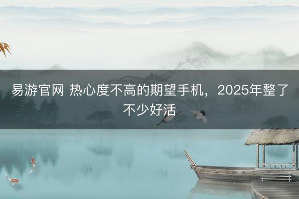易游官网 热心度不高的期望手机，2025年整了不少好活