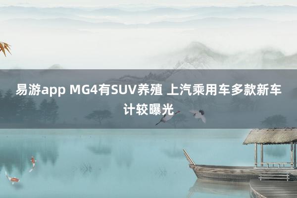 易游app MG4有SUV养殖 上汽乘用车多款新车计较曝光