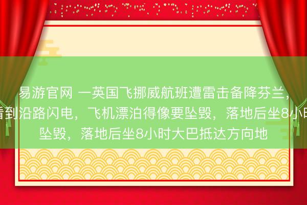 易游官网 一英国飞挪威航班遭雷击备降芬兰，亲历者：在身旁看到沿路闪电，飞机漂泊得像要坠毁，落地后坐8小时大巴抵达方向地
