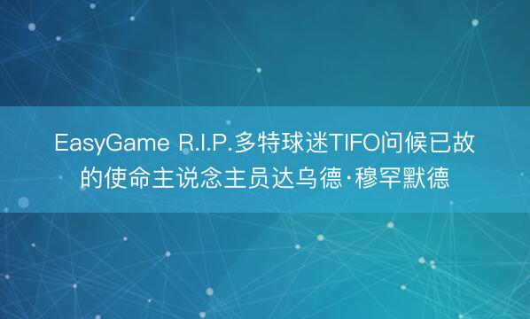 EasyGame R.I.P.多特球迷TIFO问候已故的使命主说念主员达乌德·穆罕默德