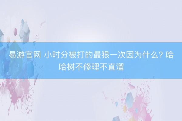易游官网 小时分被打的最狠一次因为什么? 哈哈树不修理不直溜
