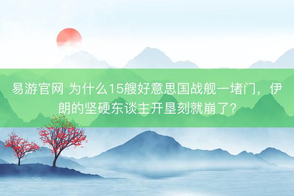 易游官网 为什么15艘好意思国战舰一堵门，伊朗的坚硬东谈主开垦刻就崩了？