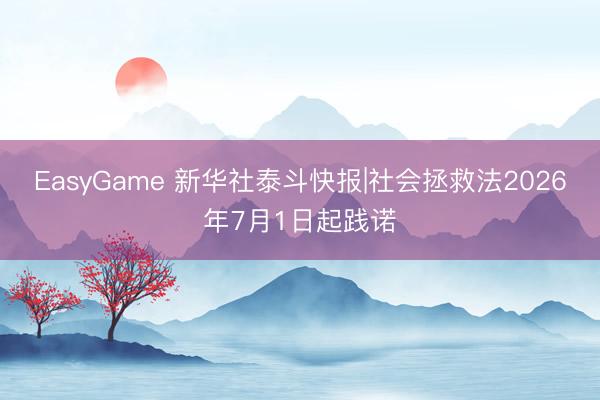 EasyGame 新华社泰斗快报|社会拯救法2026年7月1日起践诺