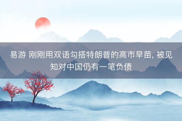 易游 刚刚用双语勾搭特朗普的高市早苗， 被见知对中国仍有一笔负债