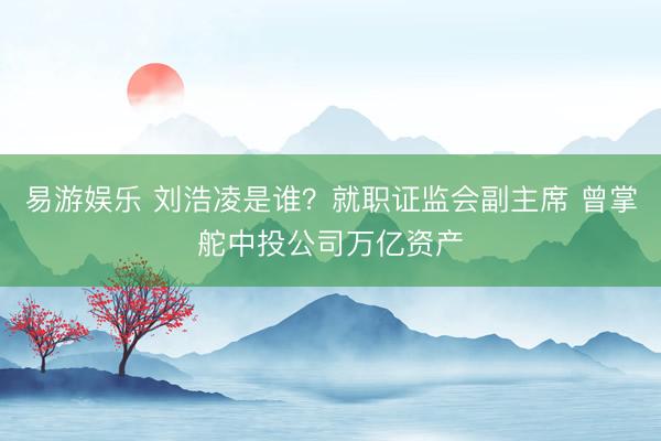 易游娱乐 刘浩凌是谁？就职证监会副主席 曾掌舵中投公司万亿资产
