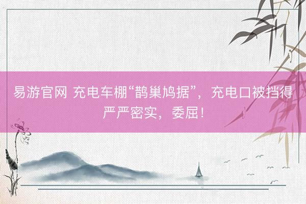 易游官网 充电车棚“鹊巢鸠据”，充电口被挡得严严密实，委屈！