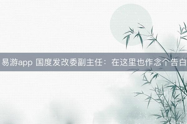 易游app 国度发改委副主任：在这里也作念个告白